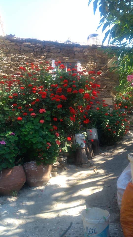 Karaburun Hasseki Köyü Resimleri 7