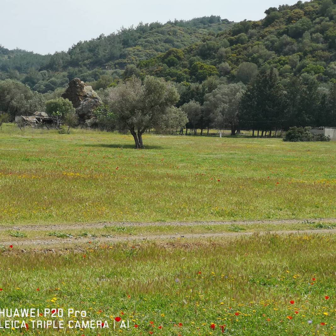 Karaburun Küçükbahçe Köyü Resimleri 8