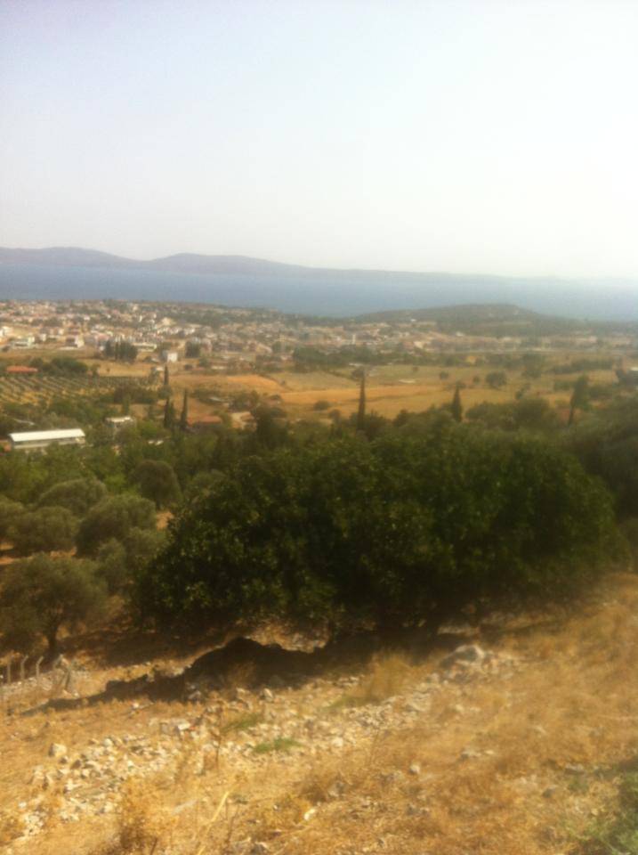 Karaburun Mordoğan Köyü Resimleri 11