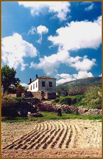 Karaburun Mordoğan Köyü Resimleri 2