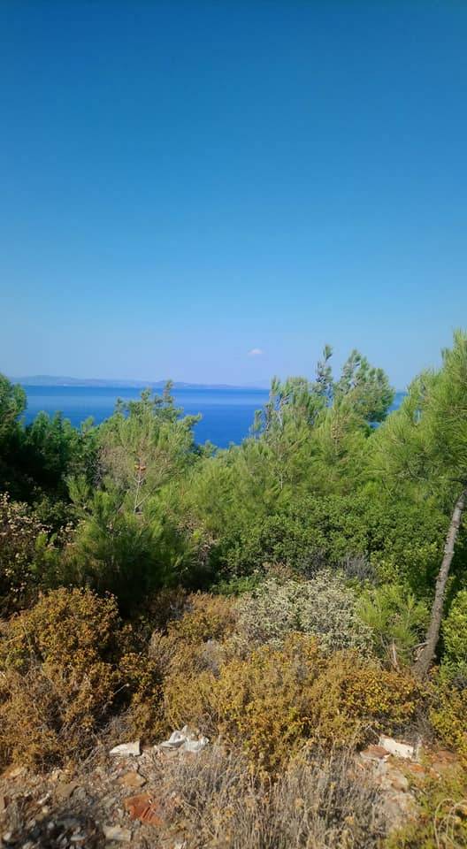 Karaburun Mordoğan Köyü Resimleri 7