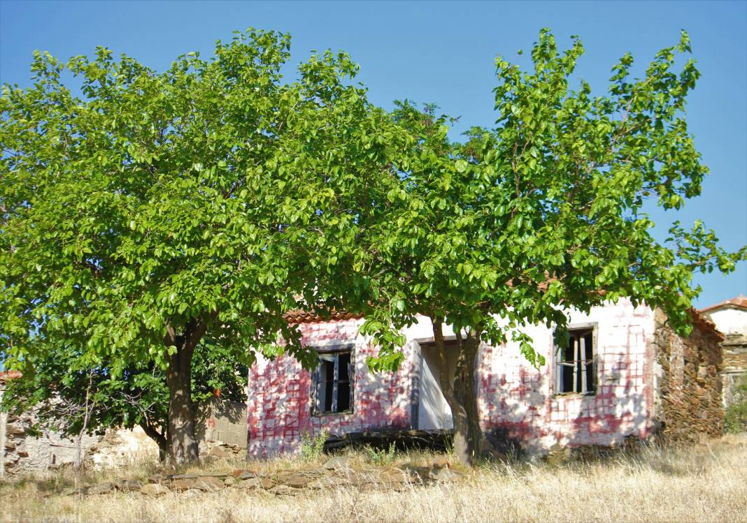 Karaburun Salman Köyü Resimleri 4