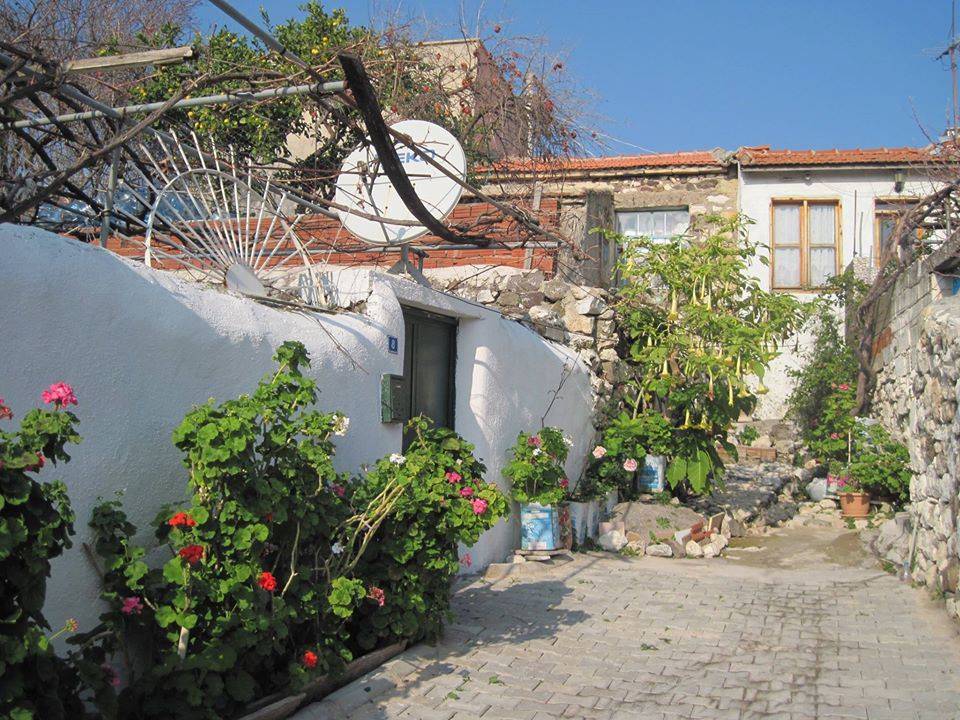 Karaburun Salman Köyü Resimleri 5