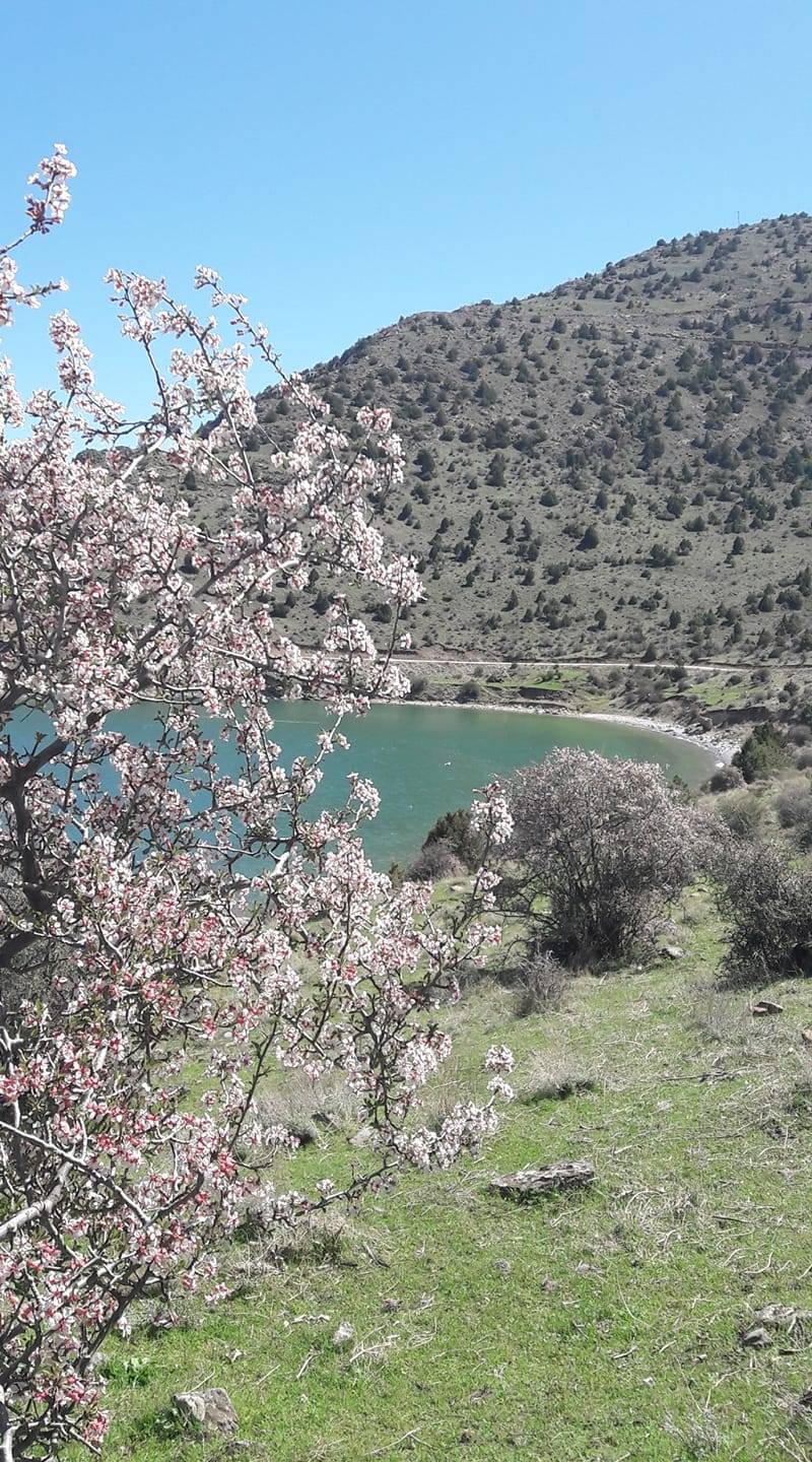 Gevaş Altınsaç Köyü Resimleri 9