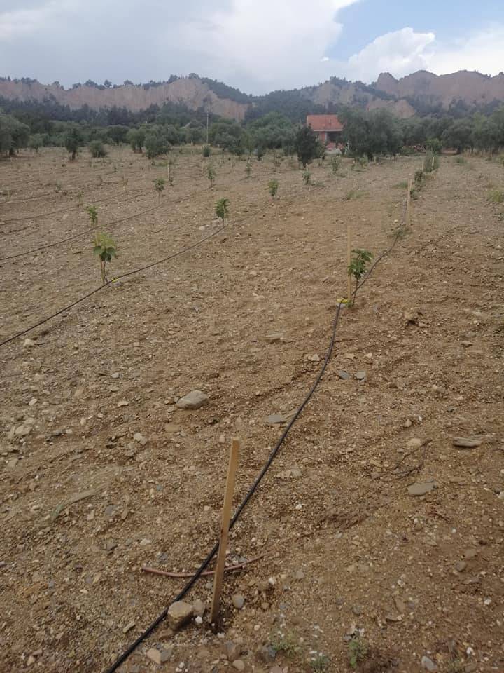 Karaburun Yaylaköy Köyü Resimleri 6