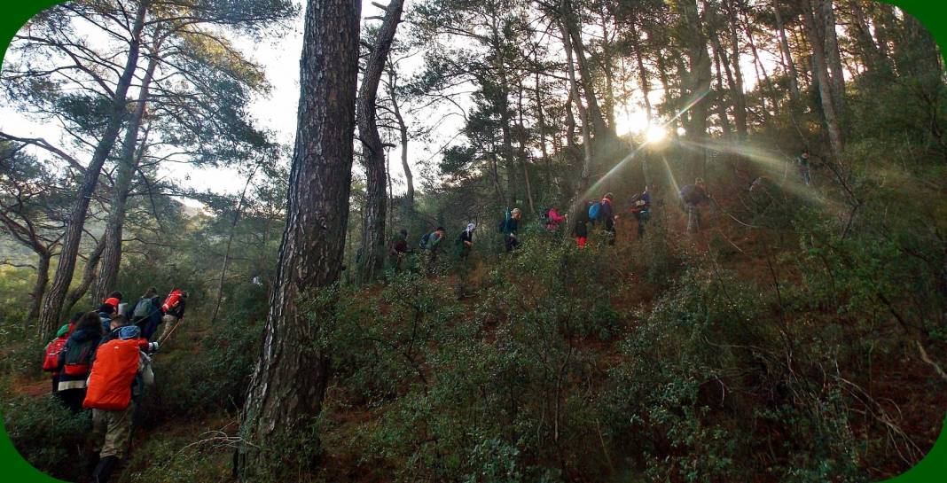 Kemalpaşa Cumalı Köyü Resimleri 10
