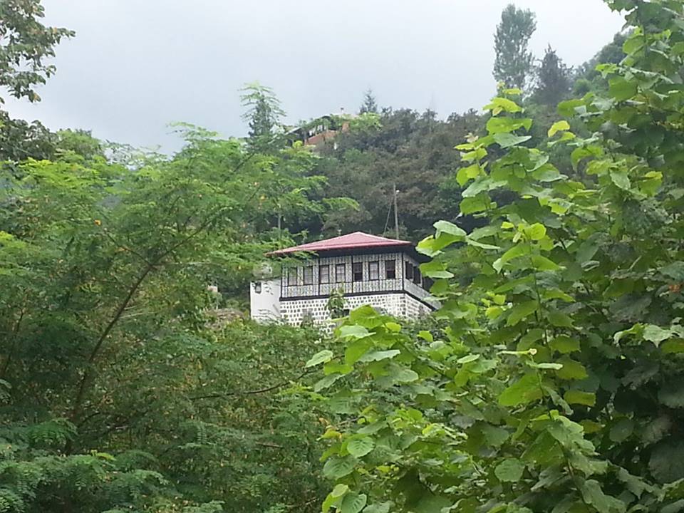 Pazar Sulak Köyü Resimleri 2