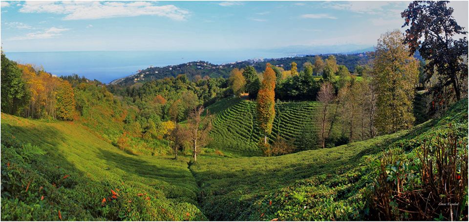 Pazar Sulak Köyü Resimleri 7