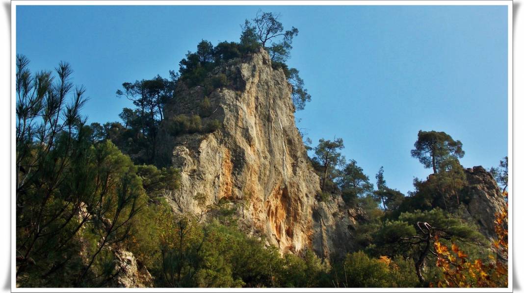 Kemalpaşa Nazarköy Köyü Resimleri 6