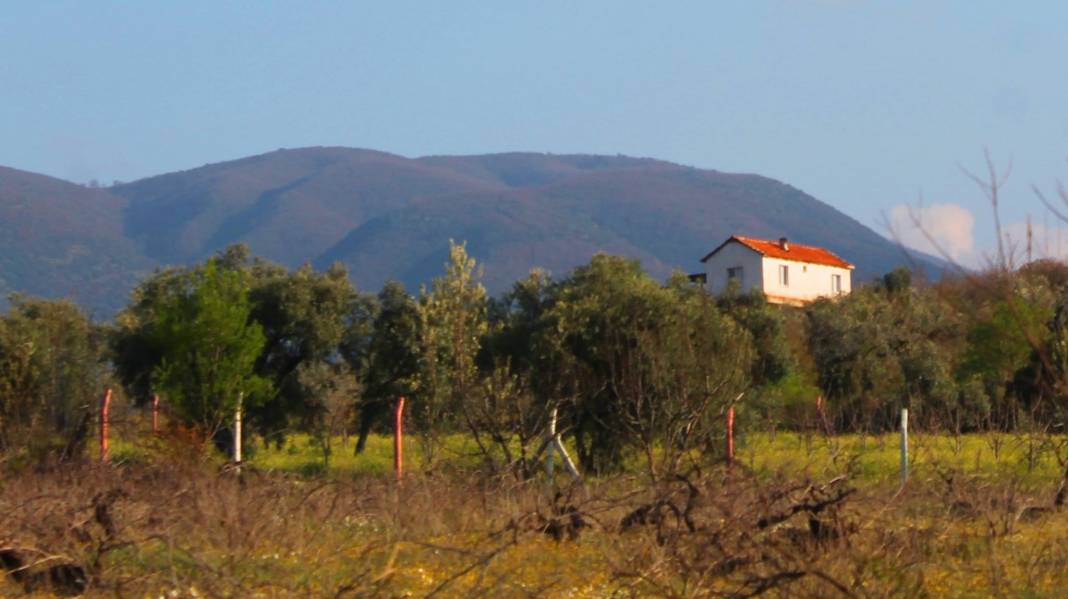 Kemalpaşa Sarıçalı Köyü Resimleri 4