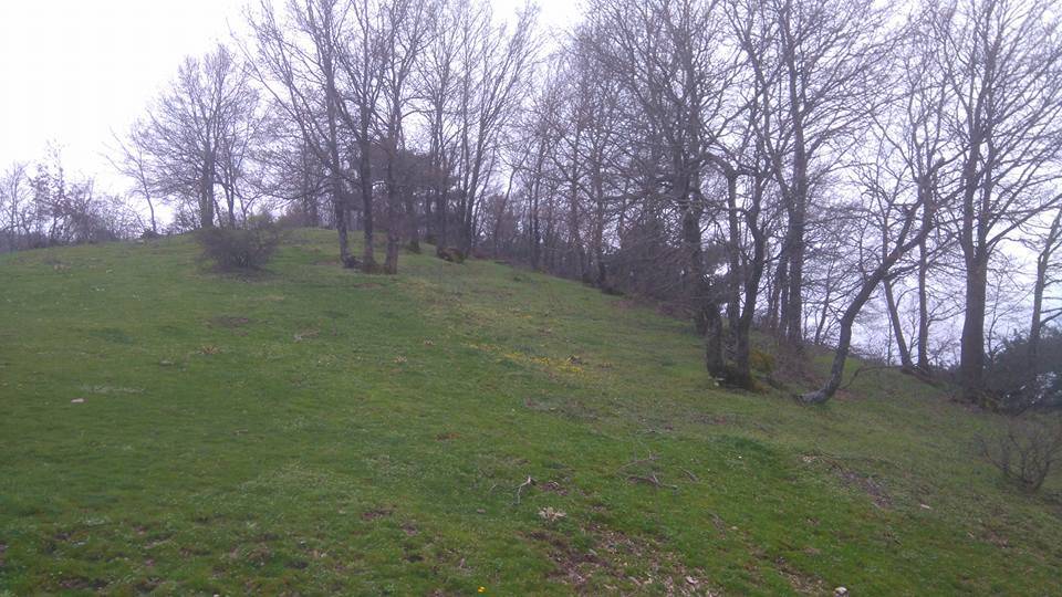 Kemalpaşa Sinancılar Köyü Resimleri 3