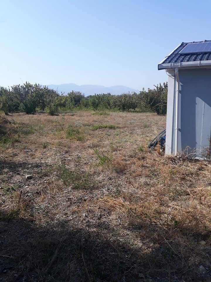 Kemalpaşa Sinancılar Köyü Resimleri 5