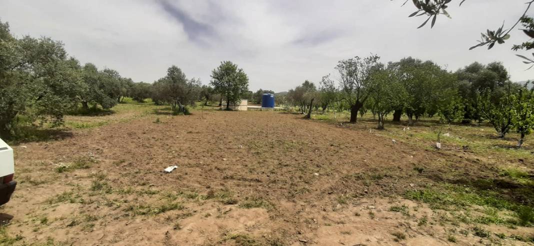 Kemalpaşa Sinancılar Köyü Resimleri 7