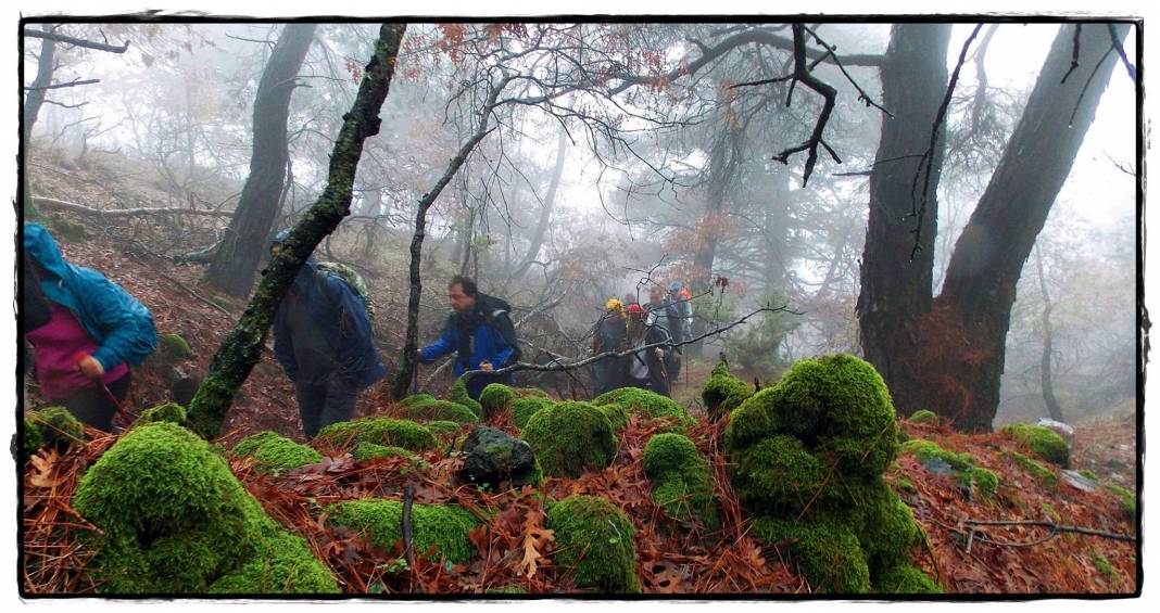 Kemalpaşa Sinancılar Köyü Resimleri 8