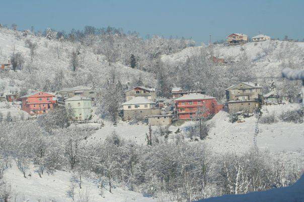 Ereğli Üçköy Köyü Resimleri 1