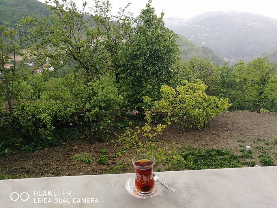 Ereğli Vakıf Köyü Resimleri 3