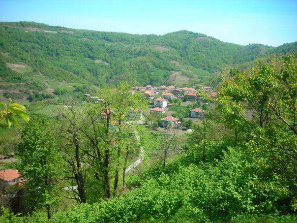 Ereğli Velidağ Köyü Resimleri 1