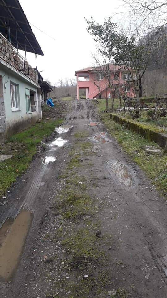 Ereğli Toyfanlı Köyü  Resimleri 3