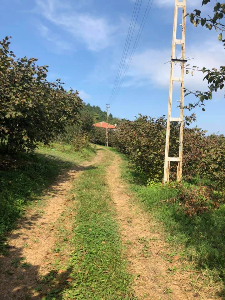 Ereğli Tepeören Köyü Resimleri 3