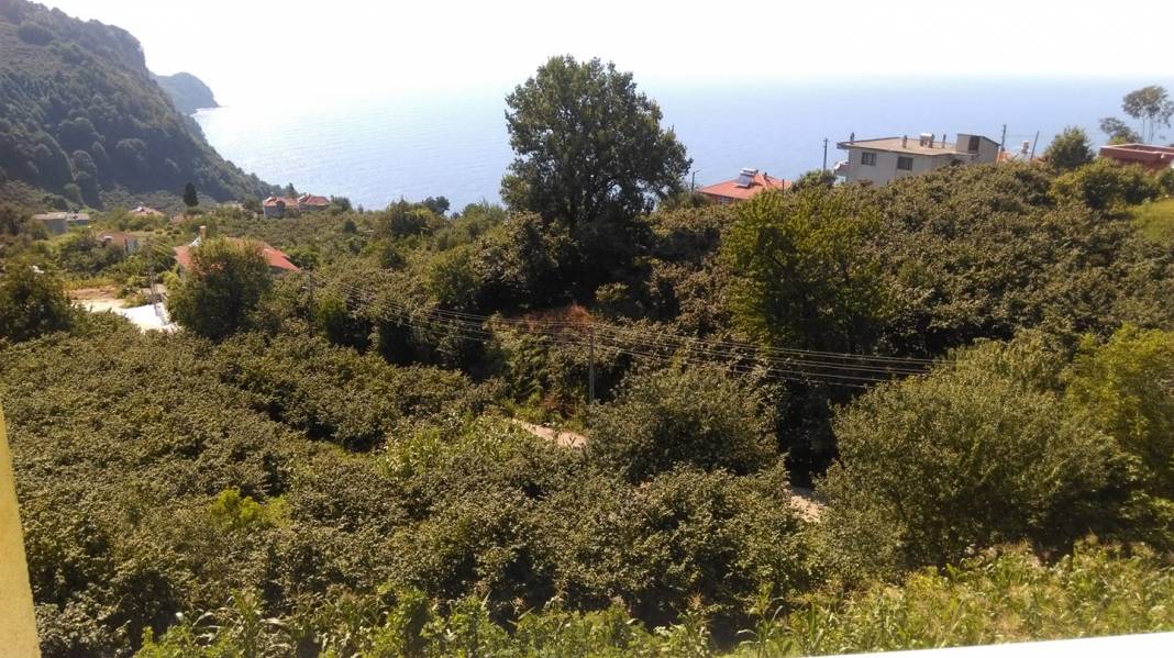 Ereğli Tepeören Köyü Resimleri 4