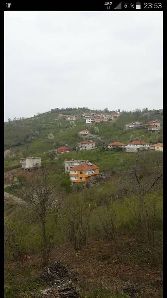 Ereğli Tepeören Köyü Resimleri 6