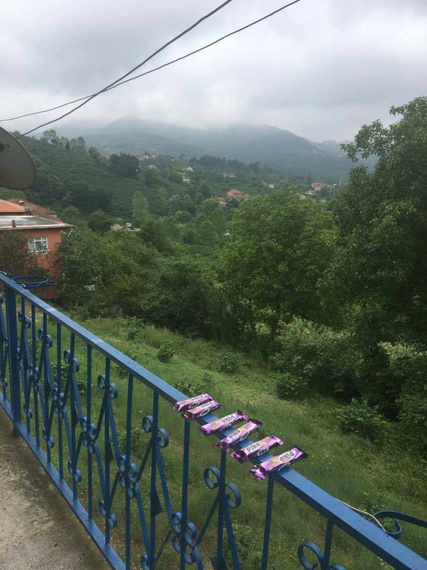 Ereğli Topallı Köyü Resimleri 4