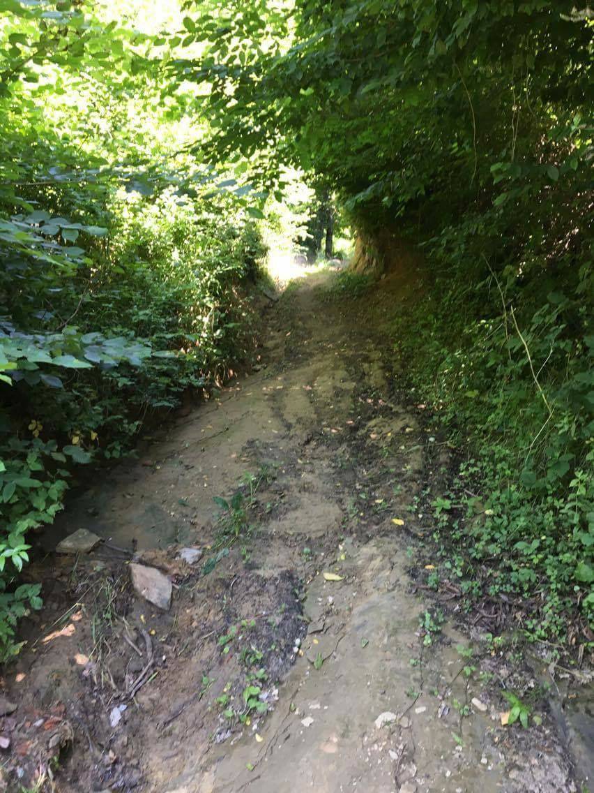 Ereğli Topallı Köyü Resimleri 5