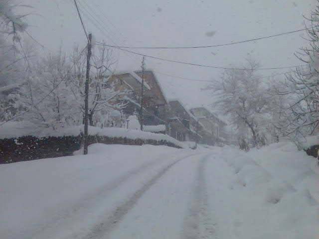 Ereğli Halaşlı Köyü Resimleri 1