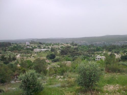 Alaşehir Bahçedere Köyü Resimleri 10