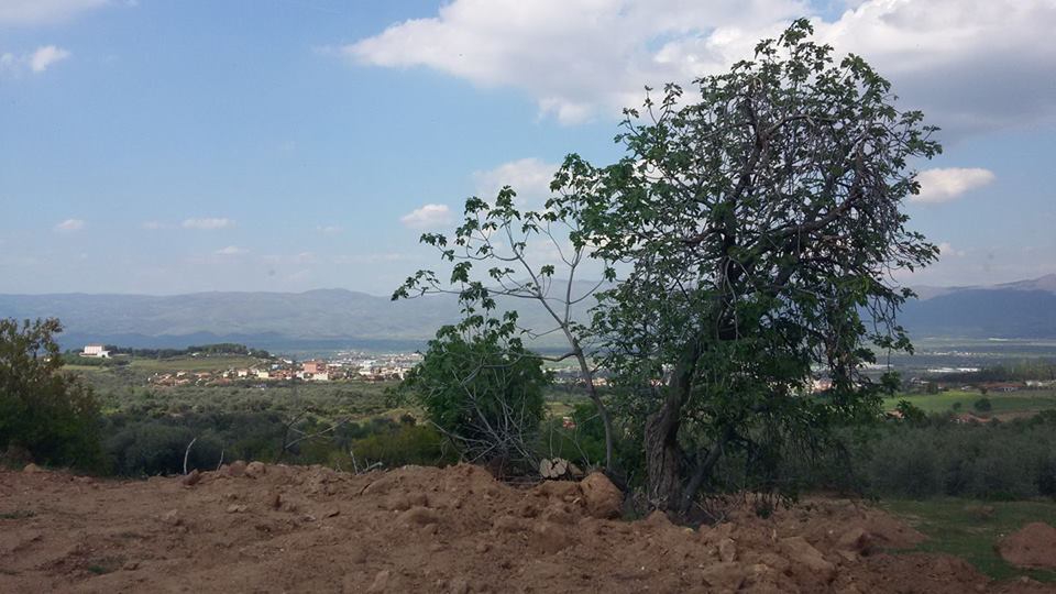 Alaşehir Bahçedere Köyü Resimleri 4