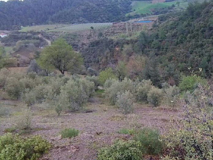 Alaşehir Bahçedere Köyü Resimleri 5