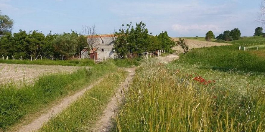 Alaşehir Bahçedere Köyü Resimleri