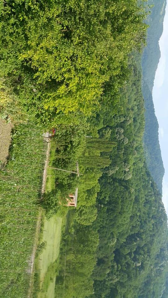 Ereğli Ortaköy Köyü Resimleri 1