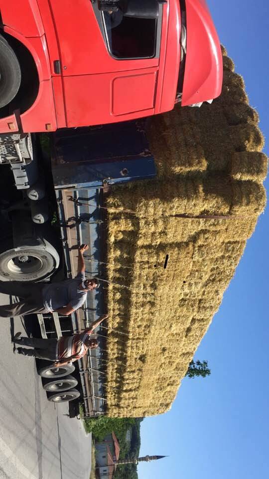 Ereğli Ketenciler Köyü Resimleri 3