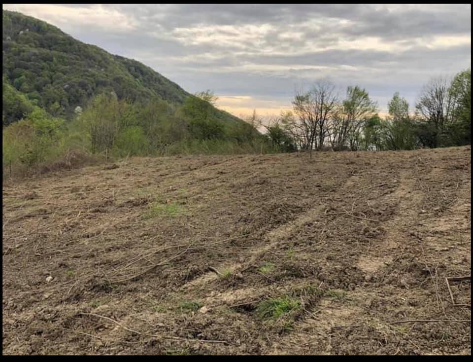 Ereğli Keşkek Köyü Resimleri 4