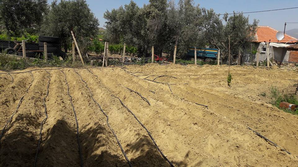 Alaşehir Belenyaka Köyü Resimleri 7