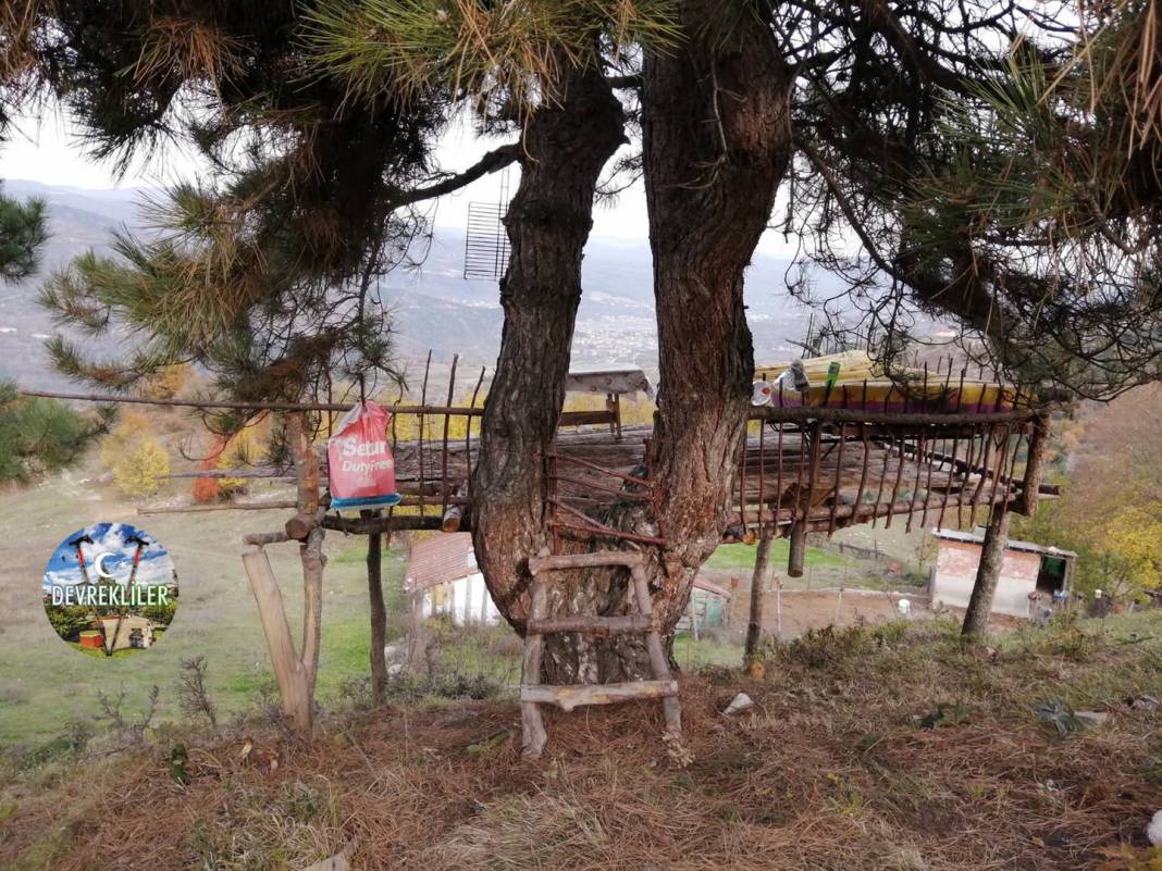 Devrek Pınarönü Köyü Resimleri 4