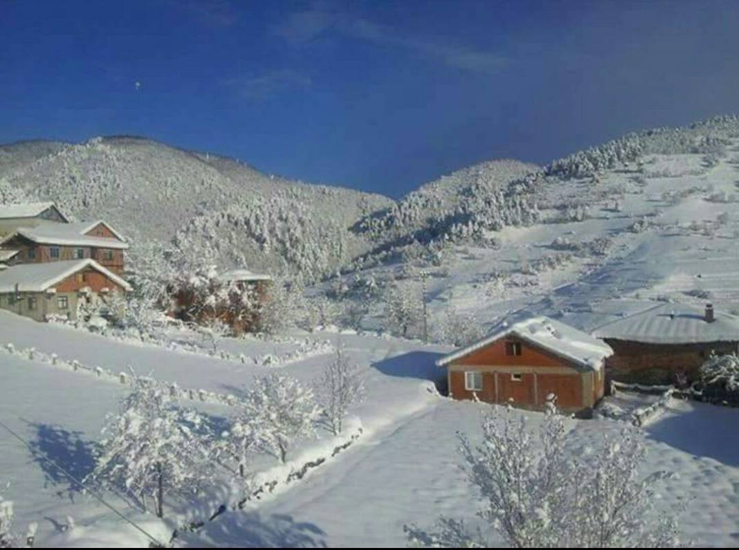 Devrek Pelitli Köyü Resimleri 1