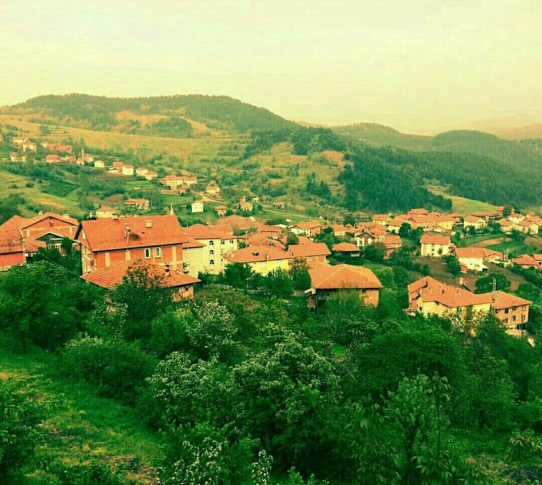 Devrek Pelitli Köyü Resimleri 2