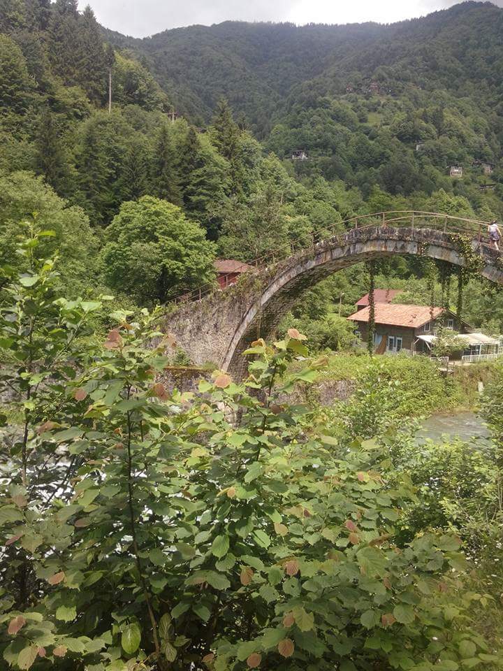 Pazar Yavuzköy Köyü Resimleri 1