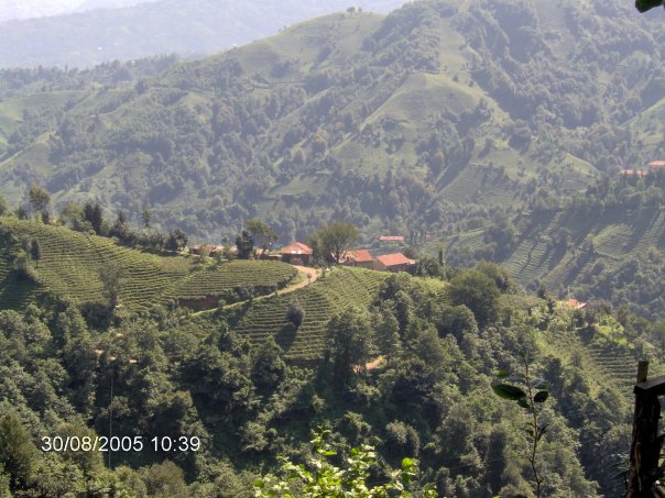 Pazar Yavuzköy Köyü Resimleri 2