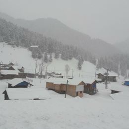 Pazar Yavuzköy Köyü Resimleri 3