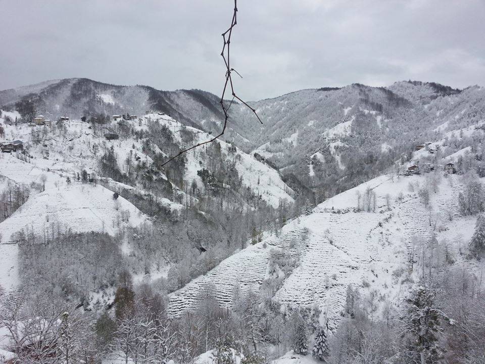 Pazar Yavuzköy Köyü Resimleri 6