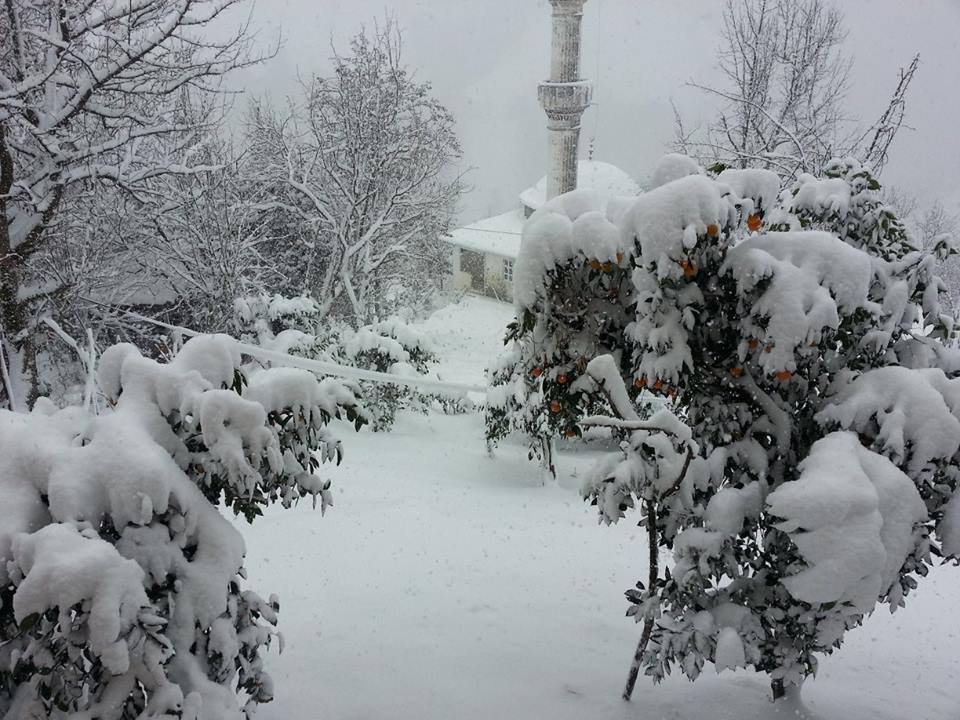 Pazar Yavuzköy Köyü Resimleri 7