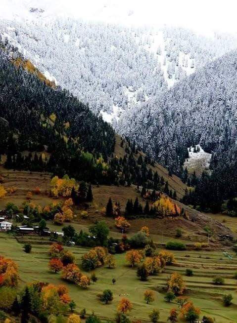 Pazar Yavuzköy Köyü Resimleri 8