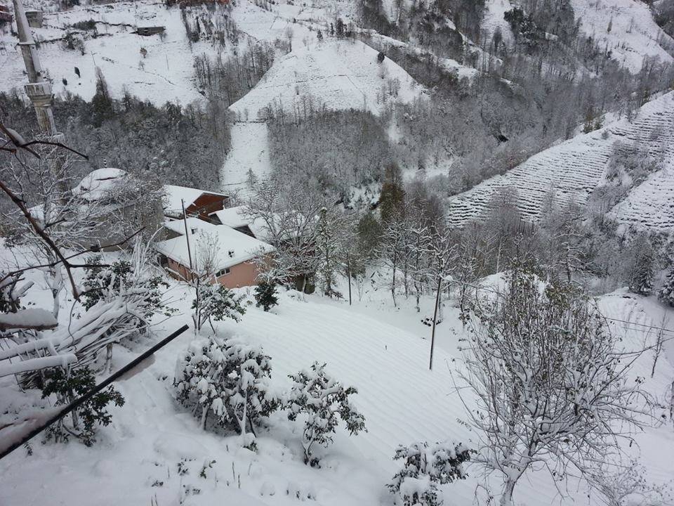 Pazar Yavuzköy Köyü Resimleri 9