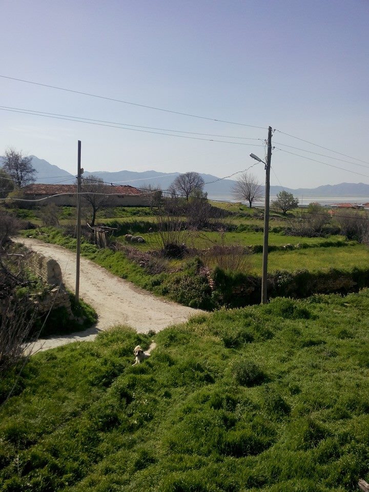 Afyon Dazkırı Sarıkavak Köyü Resimleri 14