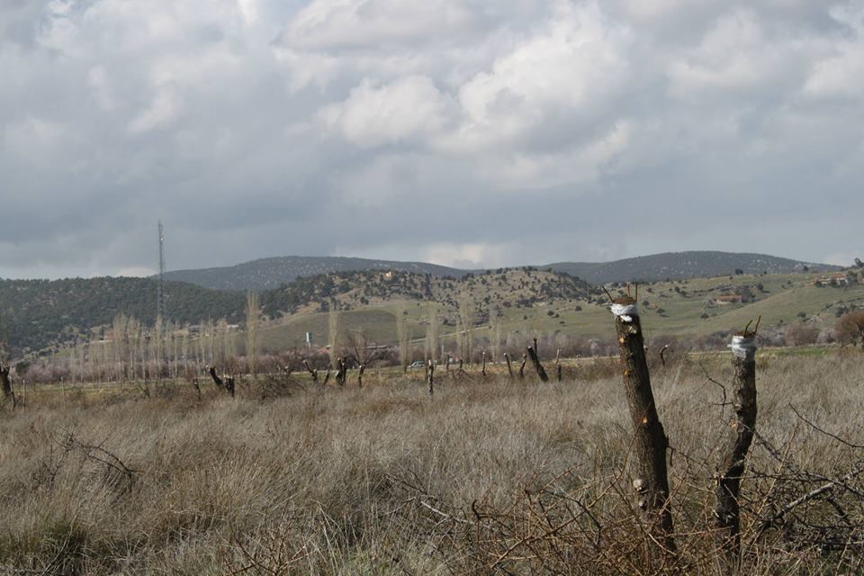 Afyon Dazkırı Sarıkavak Köyü Resimleri 39