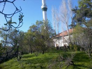Afyon Dazkırı Sarıkavak Köyü Resimleri