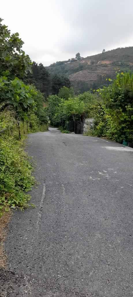 Beykoz Elmalı Köyü Resimleri 3